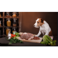 Understanding different food options for your pets