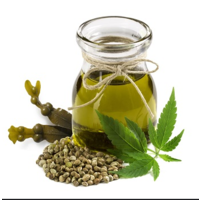 Hemp Seed Oil The NEW Super Food for your Pets