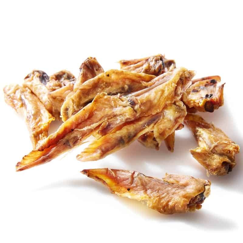 Can dogs best sale have chicken wings