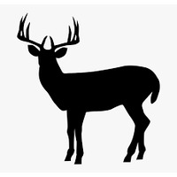 Fresh Raw Premium Venison Coarsely Minced - 1kg Cryovac Roll Frozen