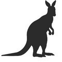 Fresh Premium Raw Kangaroo PF - 10KG Coarsely Diced "Preservative Free"