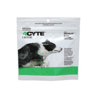 4cyte 50g Joint Supplement for Dogs