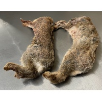 Fresh Wild Raw Whole Rabbit - Pair with Hair