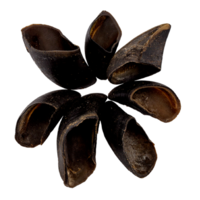 Cow Hooves