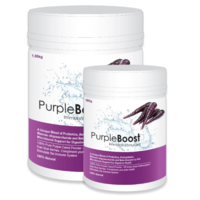 Lifewise Purple Boost