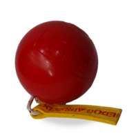 Aussie Dog Roady Ball