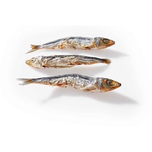Natural Air Dried Forage Fish 1kg